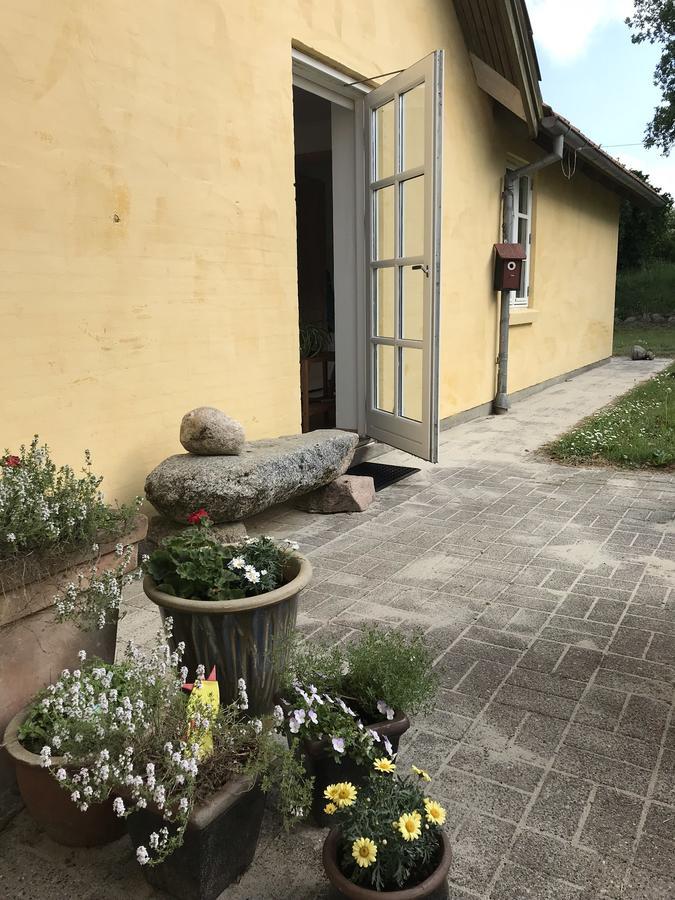 Tranum Lys Og Glas Brovst Εξωτερικό φωτογραφία